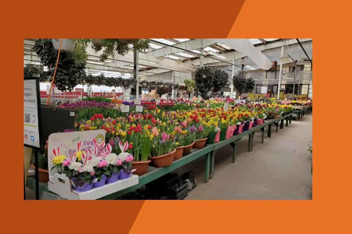 Leighty's Farm Market & Flower World Greenhouse