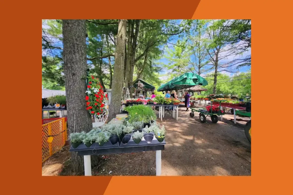 Lew's Farm Market