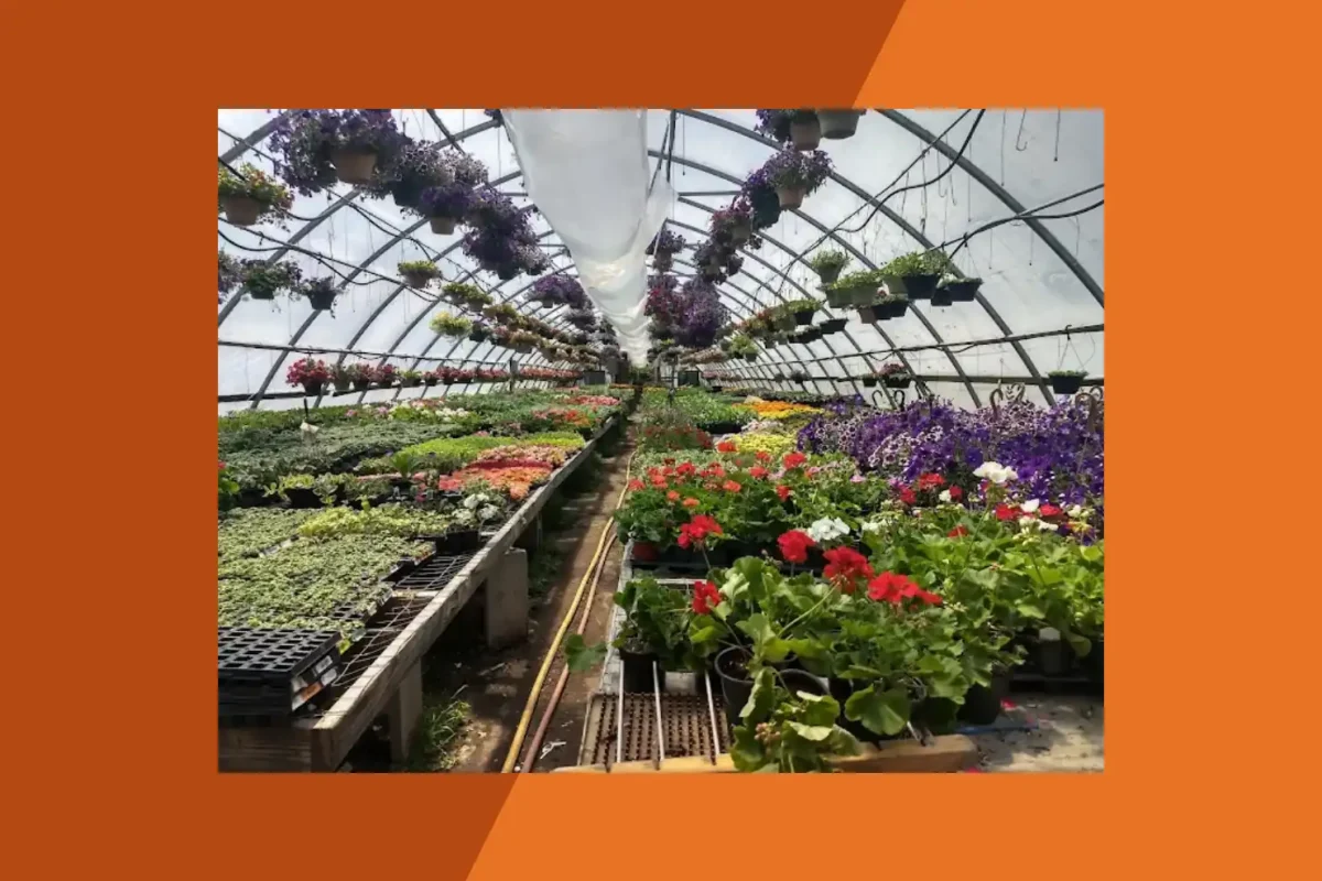 Moore's Farm Market