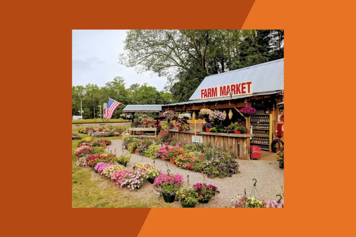 Moyock Farm Market