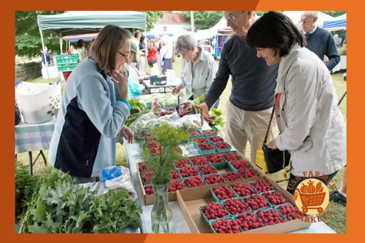 Norfolk Farmers Market Connecticut