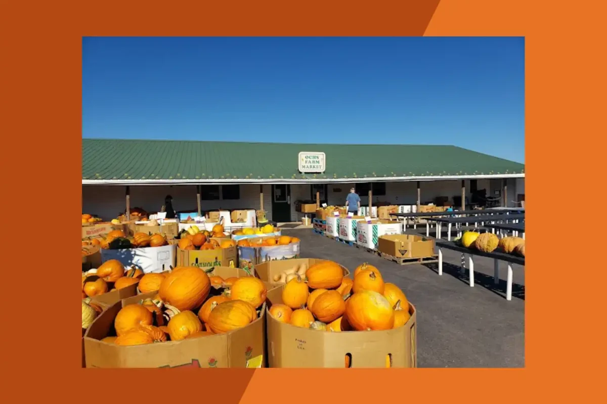 Ochs Farm Market