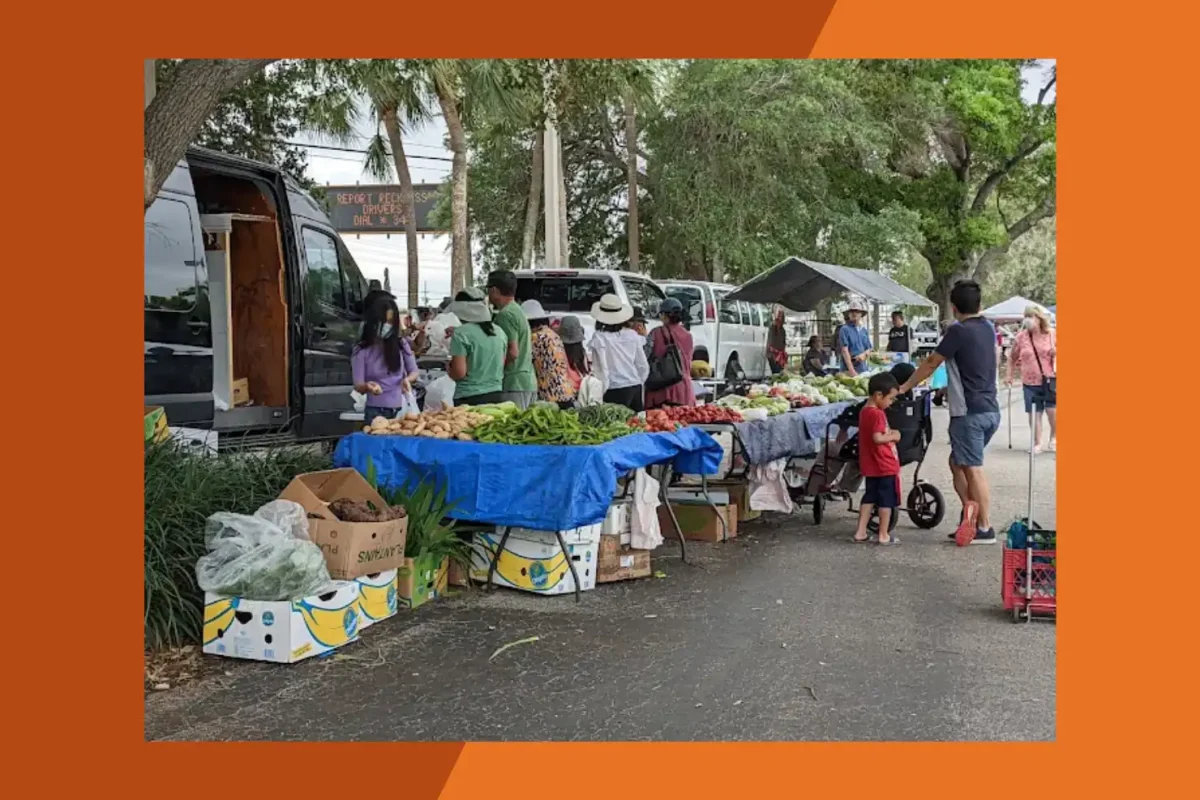 Pinellas Farmers and Flea Market