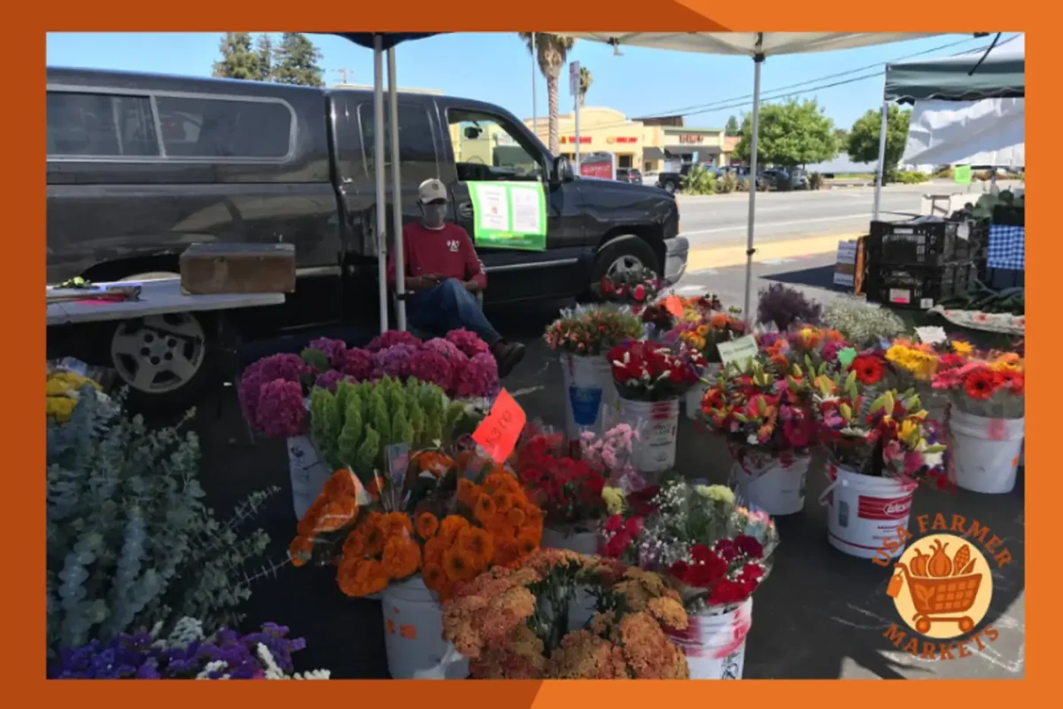 Princeton Plaza Farmer Market