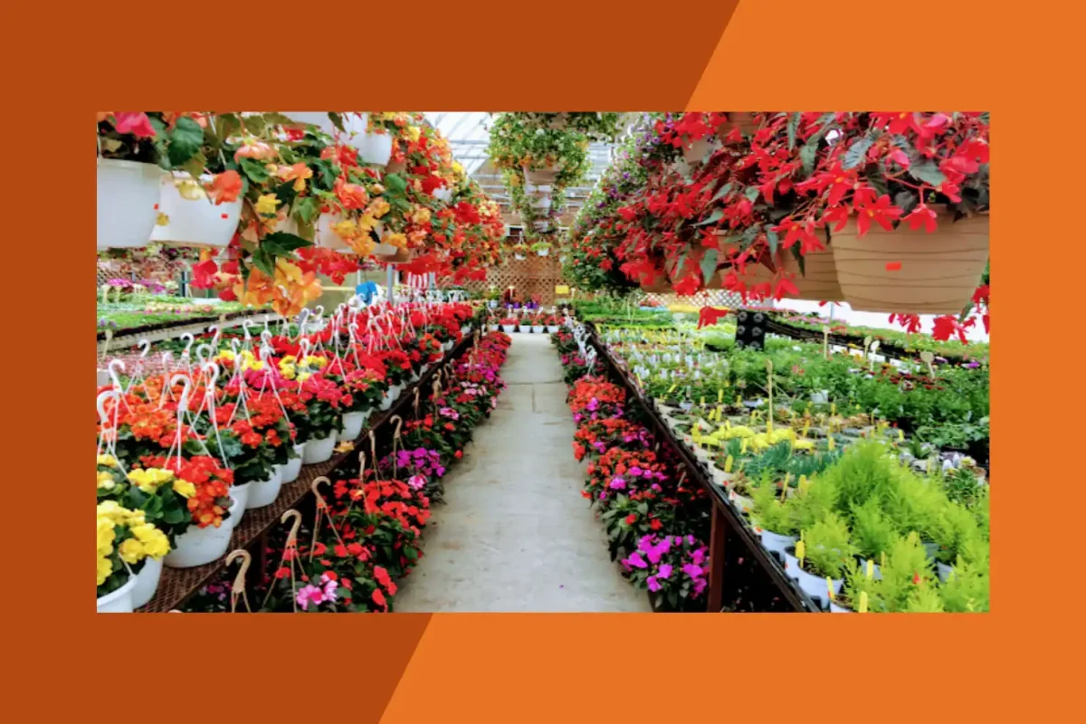 Rich's Greenhouse and Farm Market