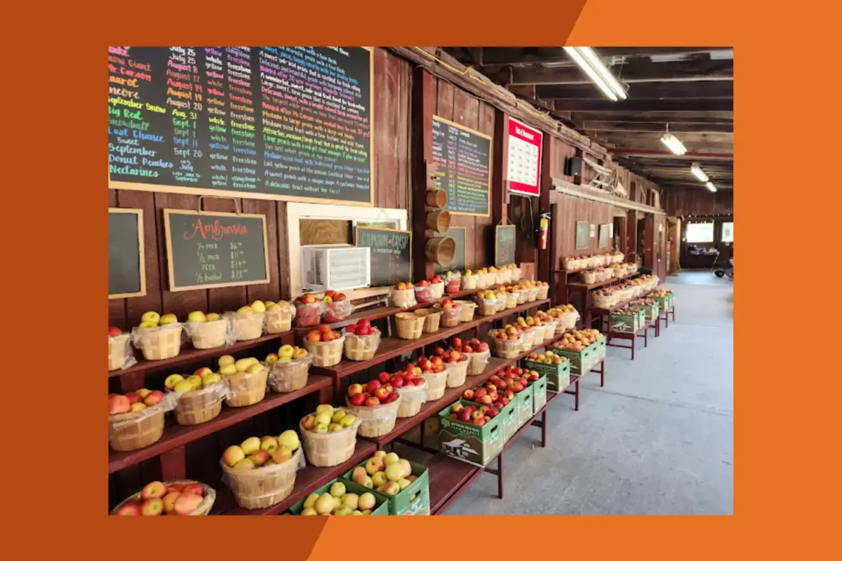 Saunders Brothers Farm Market