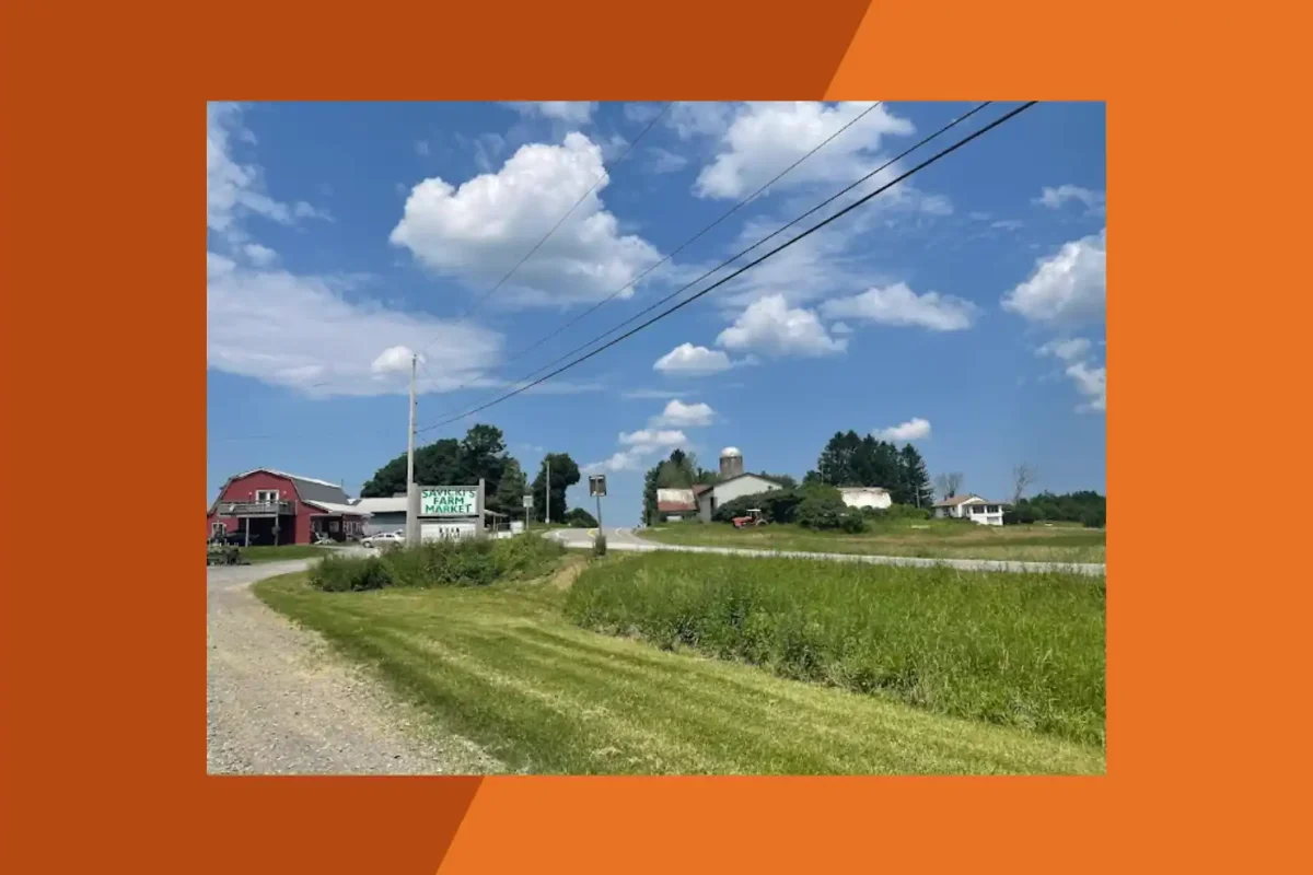 Savicki's Farm Market