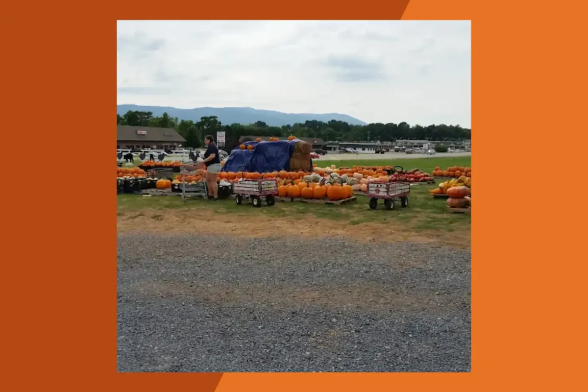 Stuarts Draft Farm Market