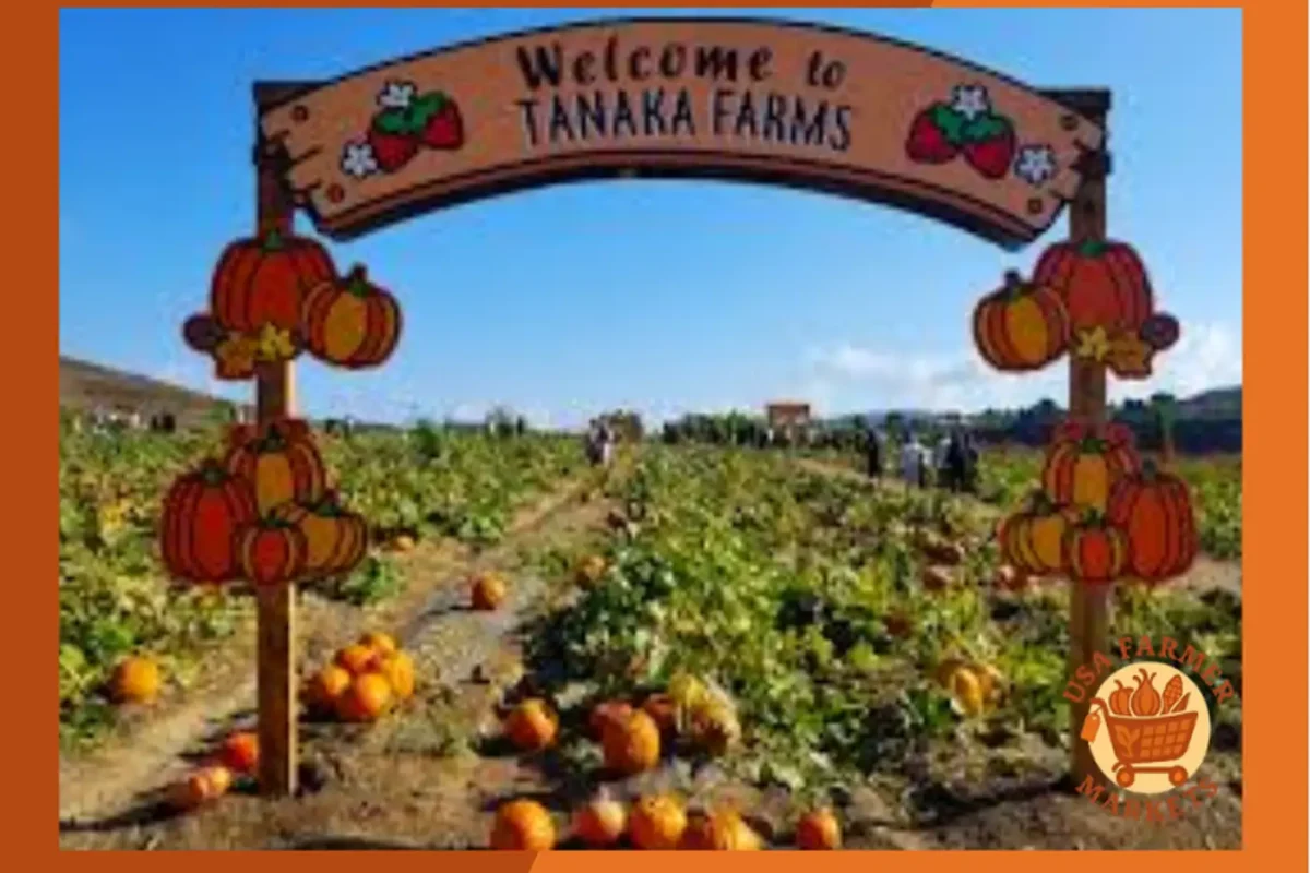 Tanaka Farms California