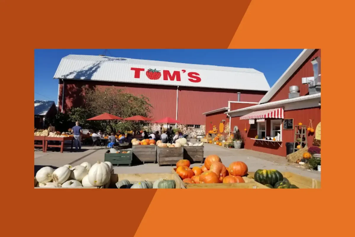 Tom's Farm Market