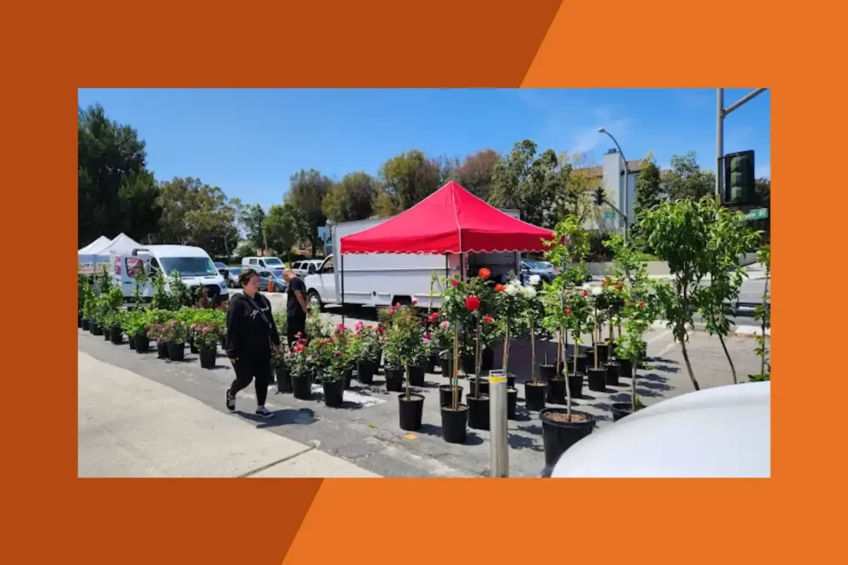 Torrance Certified Farmers' Market