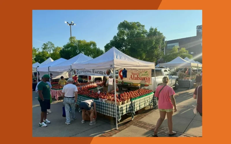 alabama farmers markets