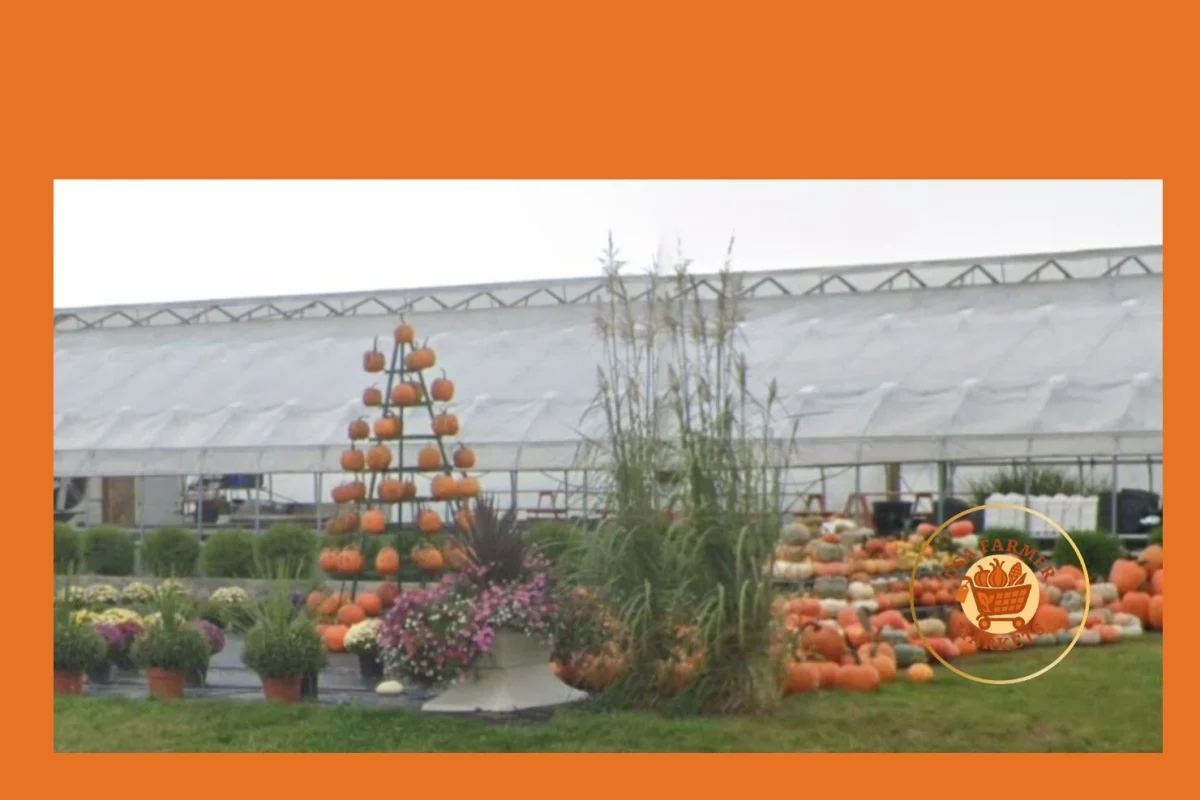 amish farm stand amish farm stand