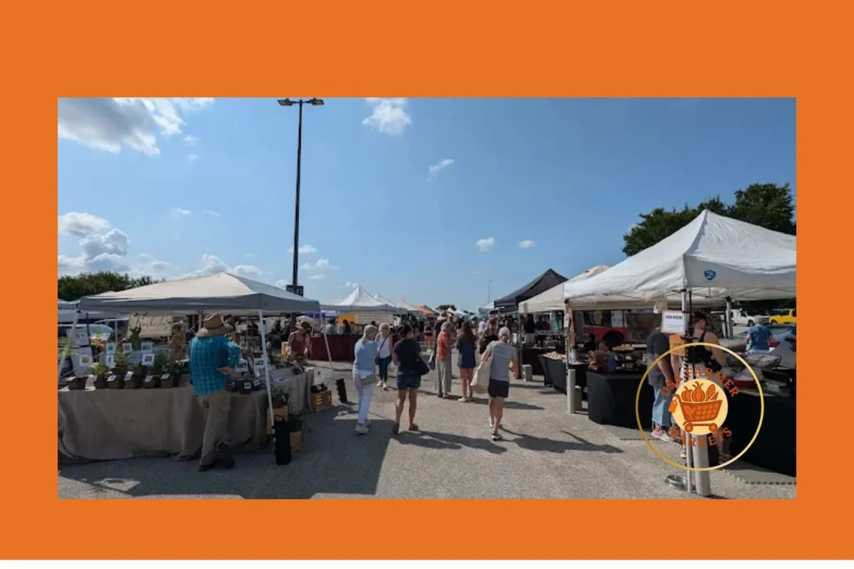 barton creek farmers market barton creek farmers market