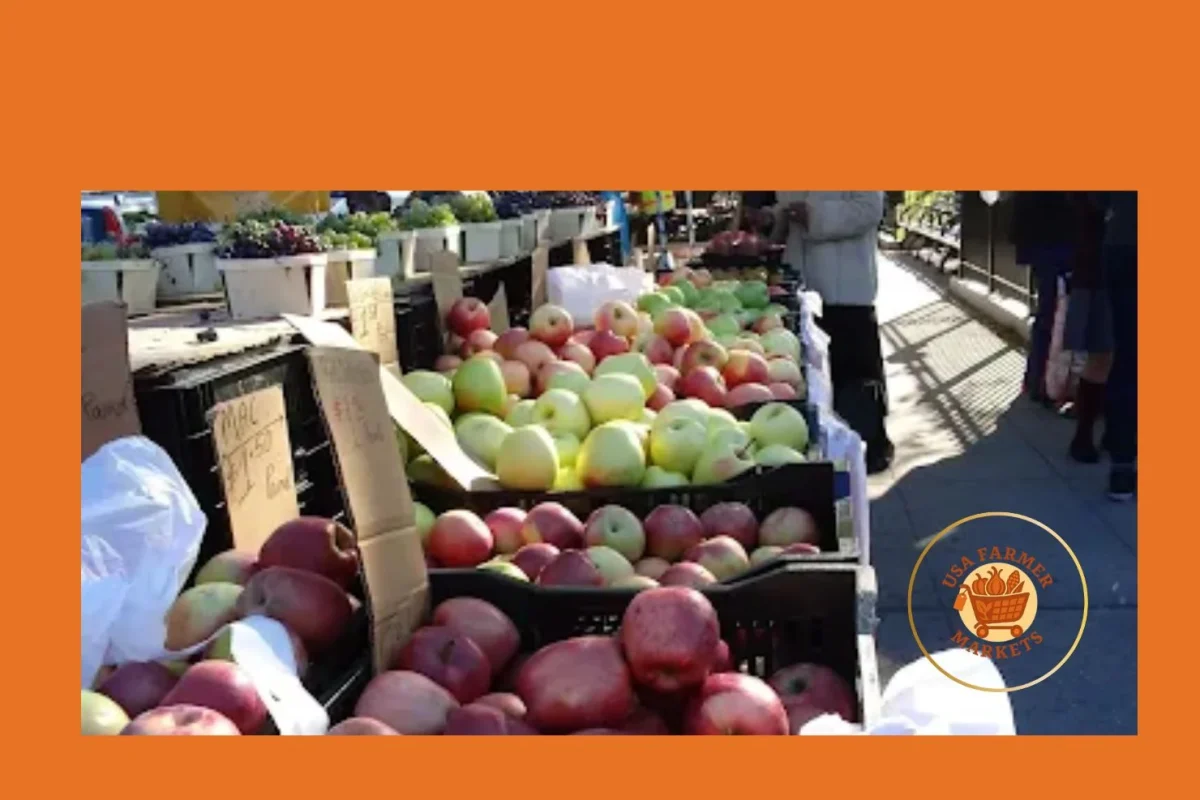 bronx borough hall greenmarket bronx borough hall greenmarket