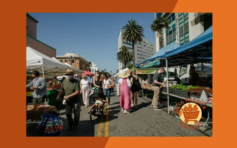 california farmers markets