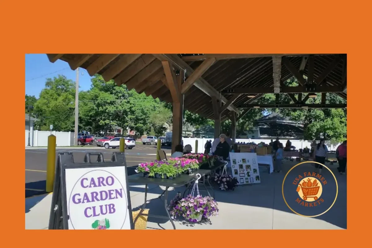 caro farmers market caro farmers market