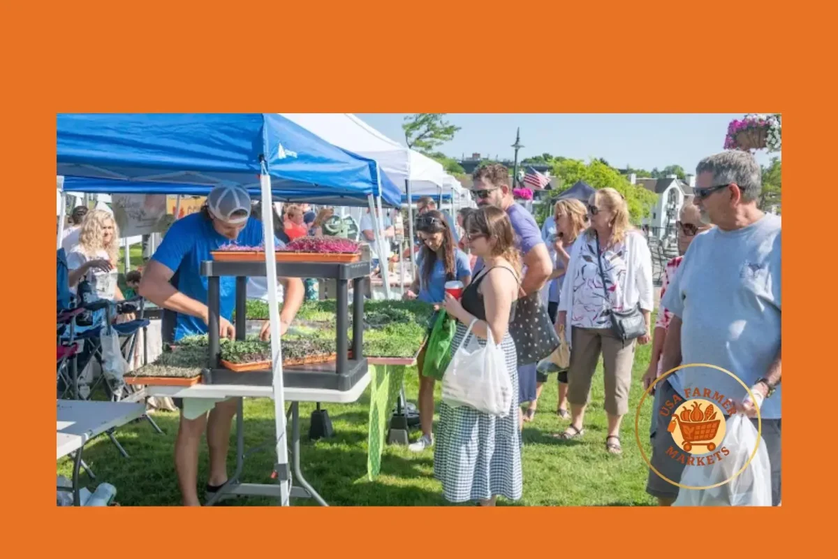 charlevoix farmers market charlevoix farmers market