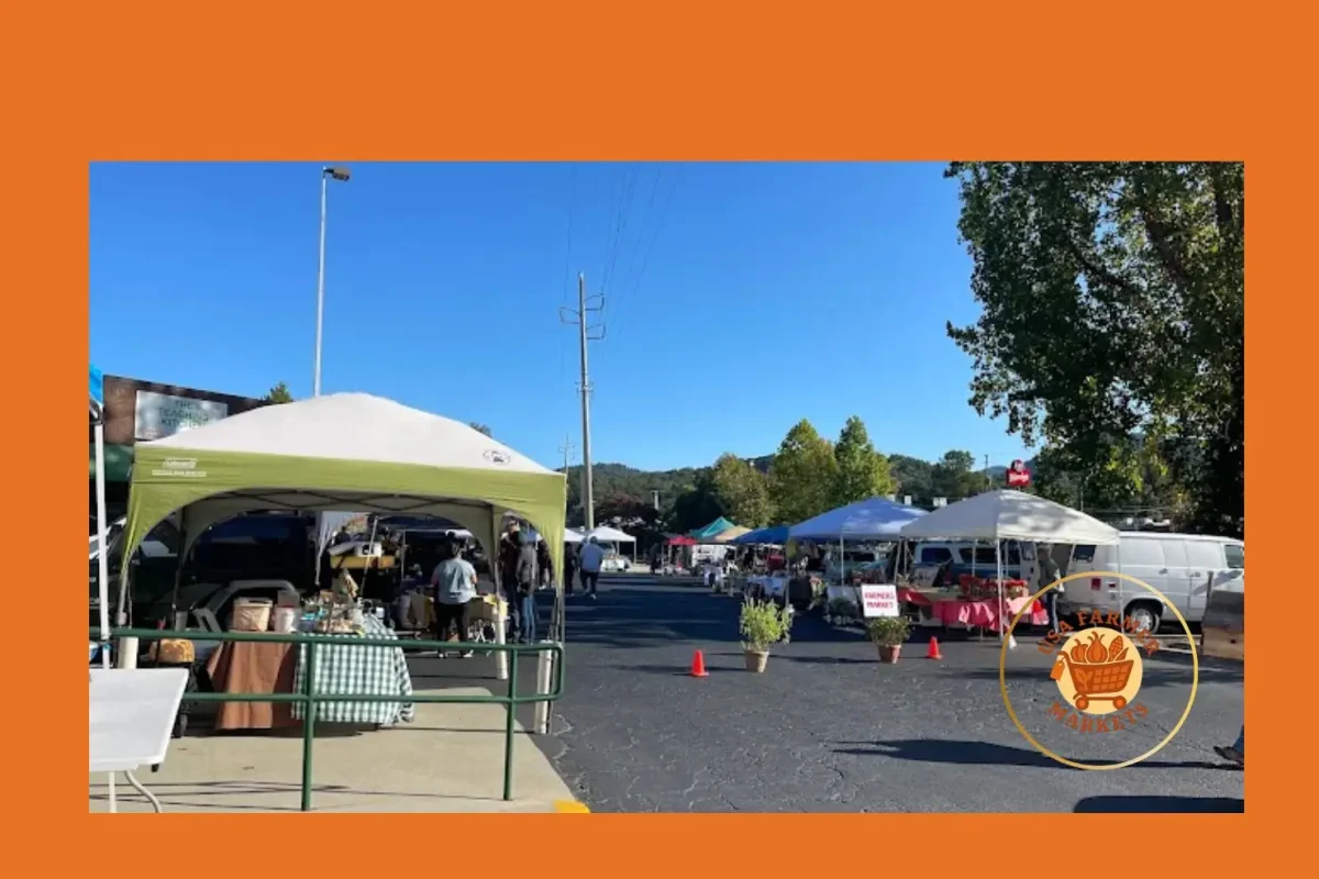 clayton farmer’s market clayton farmer's market
