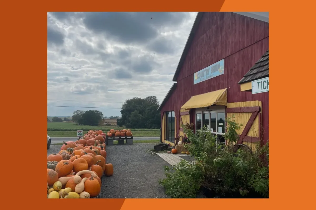country wagon farm markets