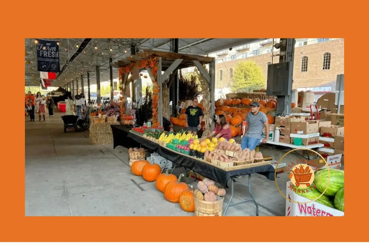 dallas farmers market dallas farmers market