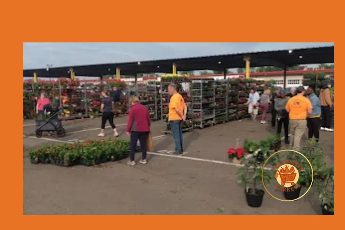 farmers market at the ct regional market