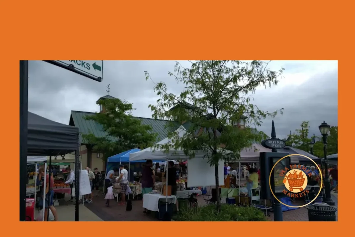 farmington farmers & artisans market farmington farmers & artisans market
