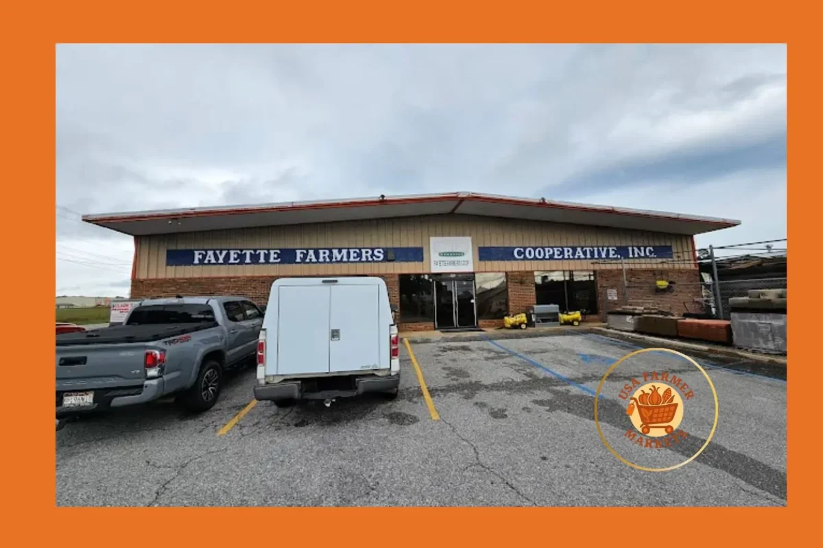 fayette farmers market alabama