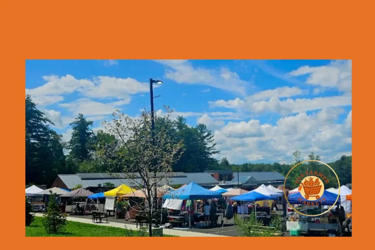 guilderland farmers market