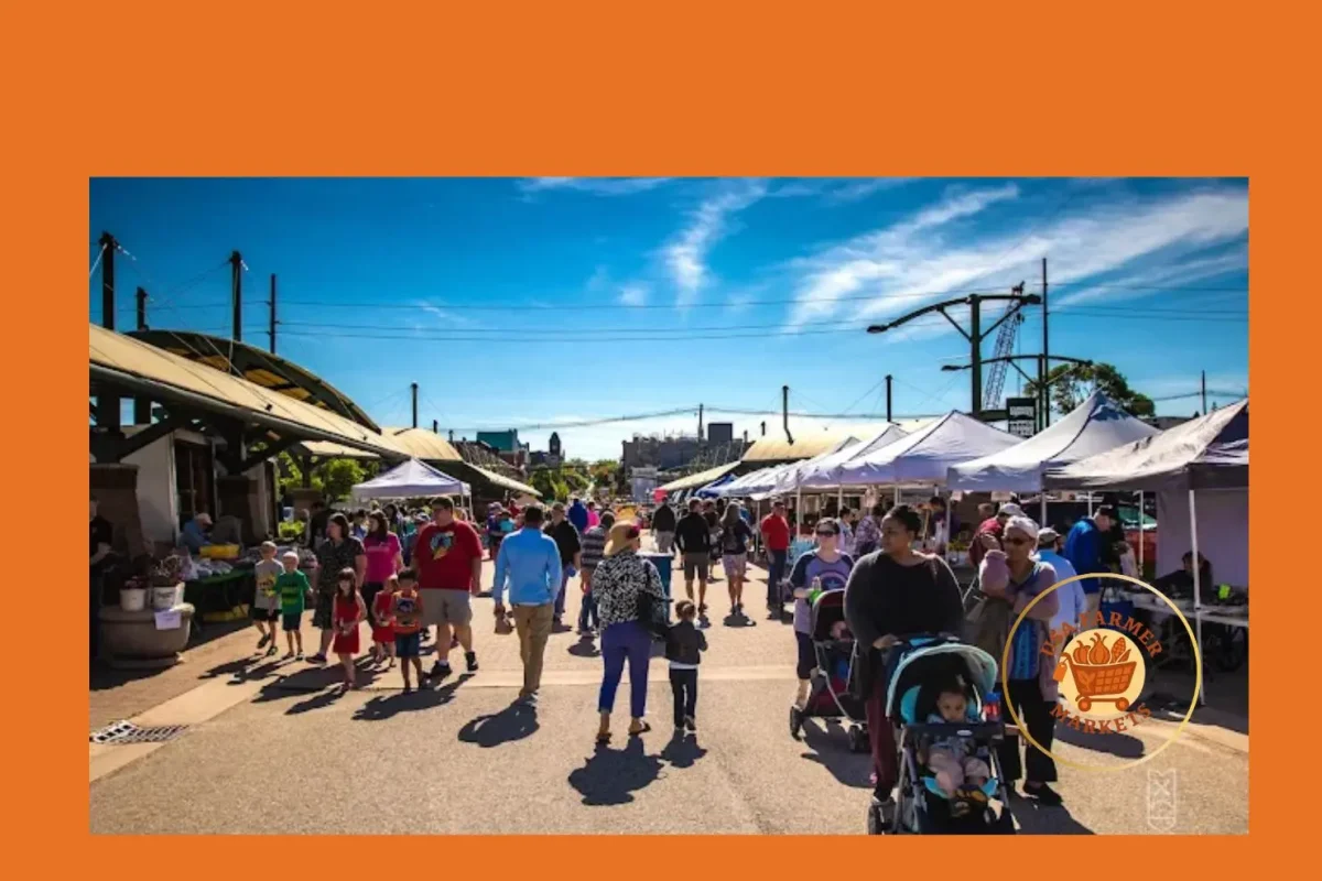 holland farmers market