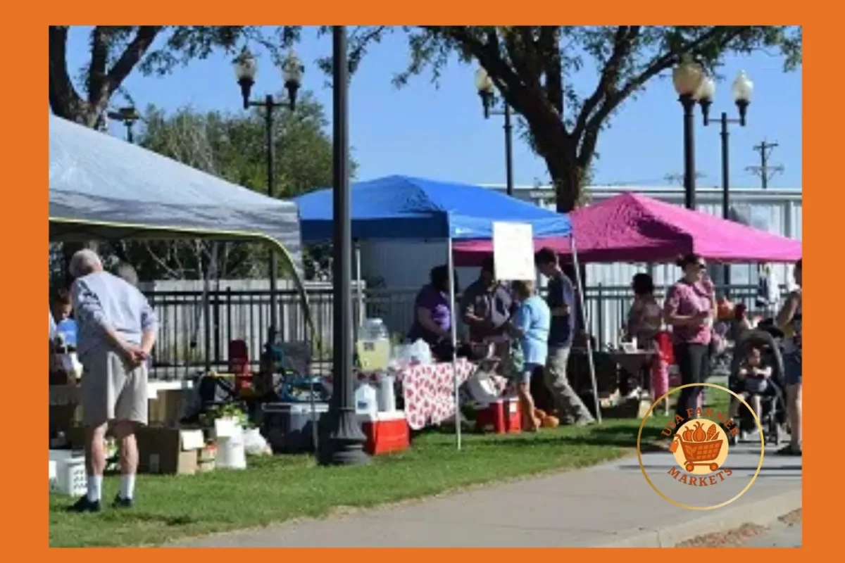 lamar county farmers market vernon, alabama