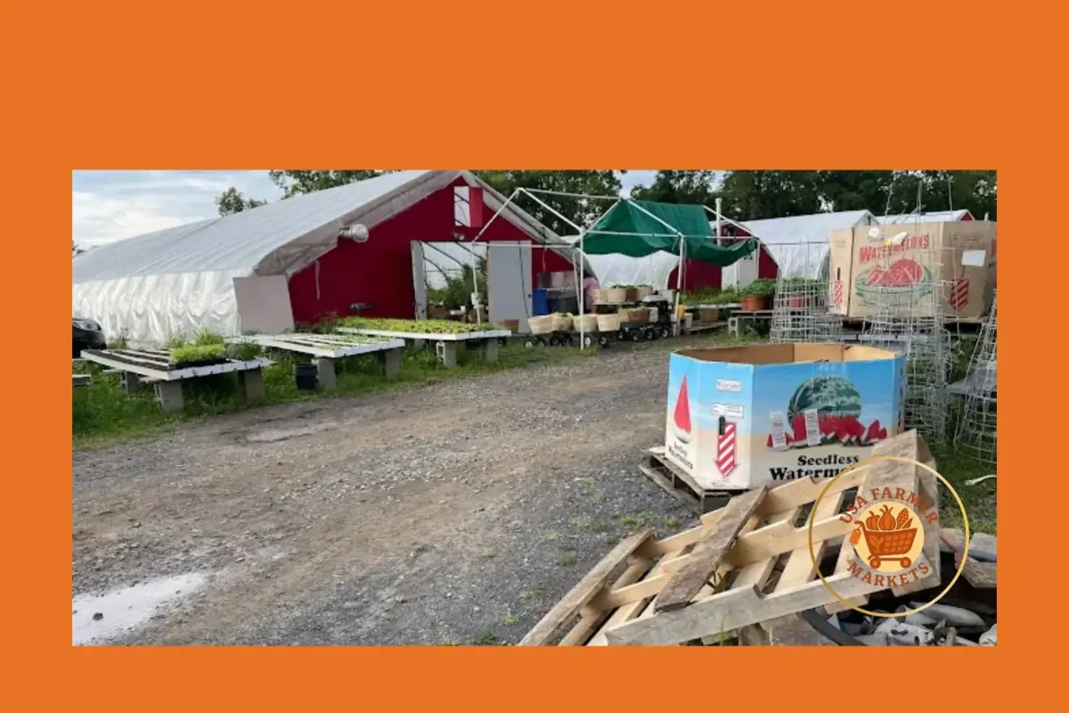 lansing’s farm market & greenhouses lansing's farm market & greenhouses