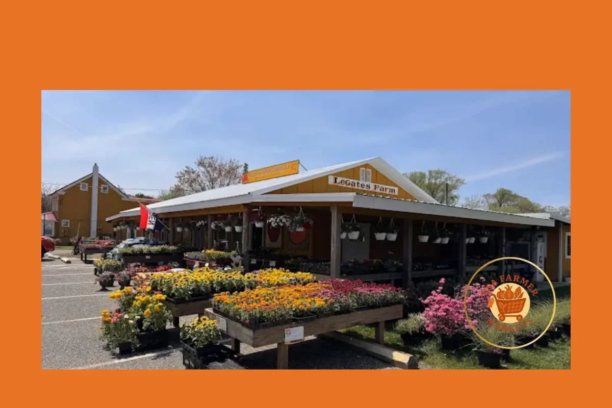 legates farm market