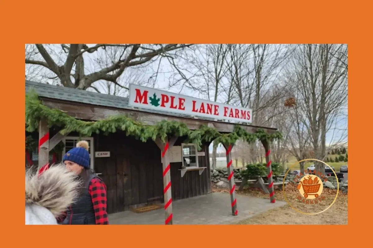 maple lane farms