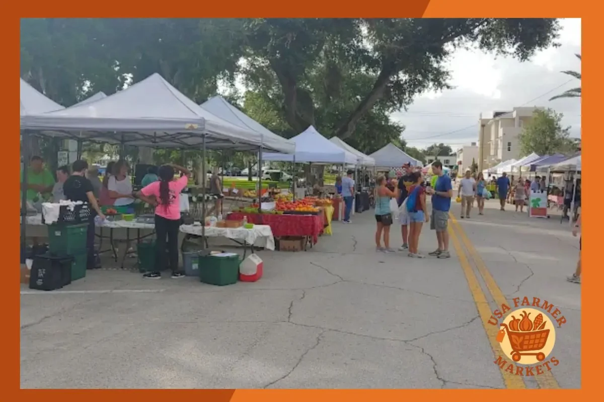 new smyrna beach farmers' market