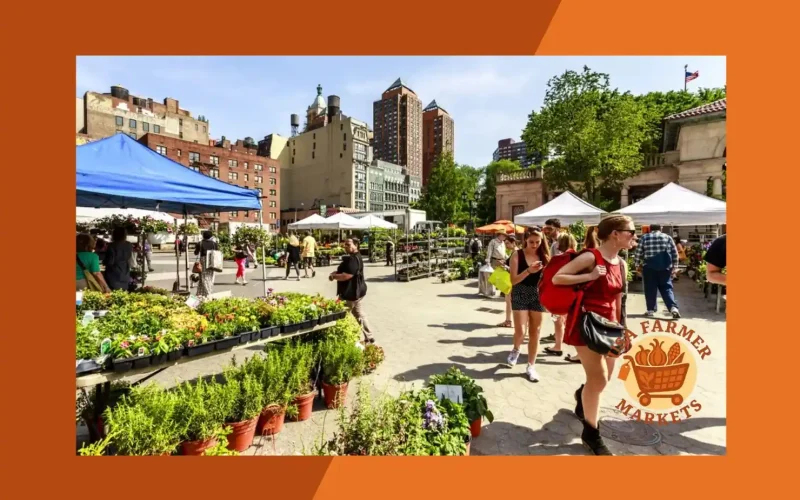 new york farmers markets