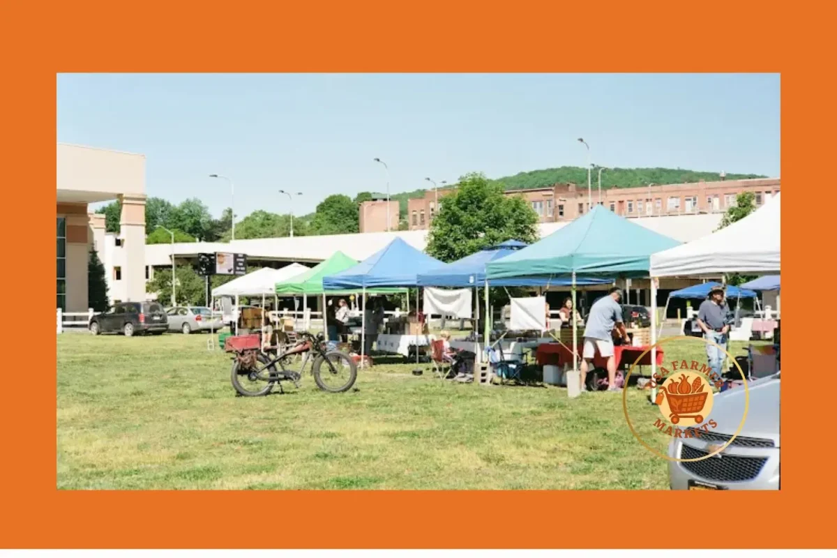 oneonta farmers market