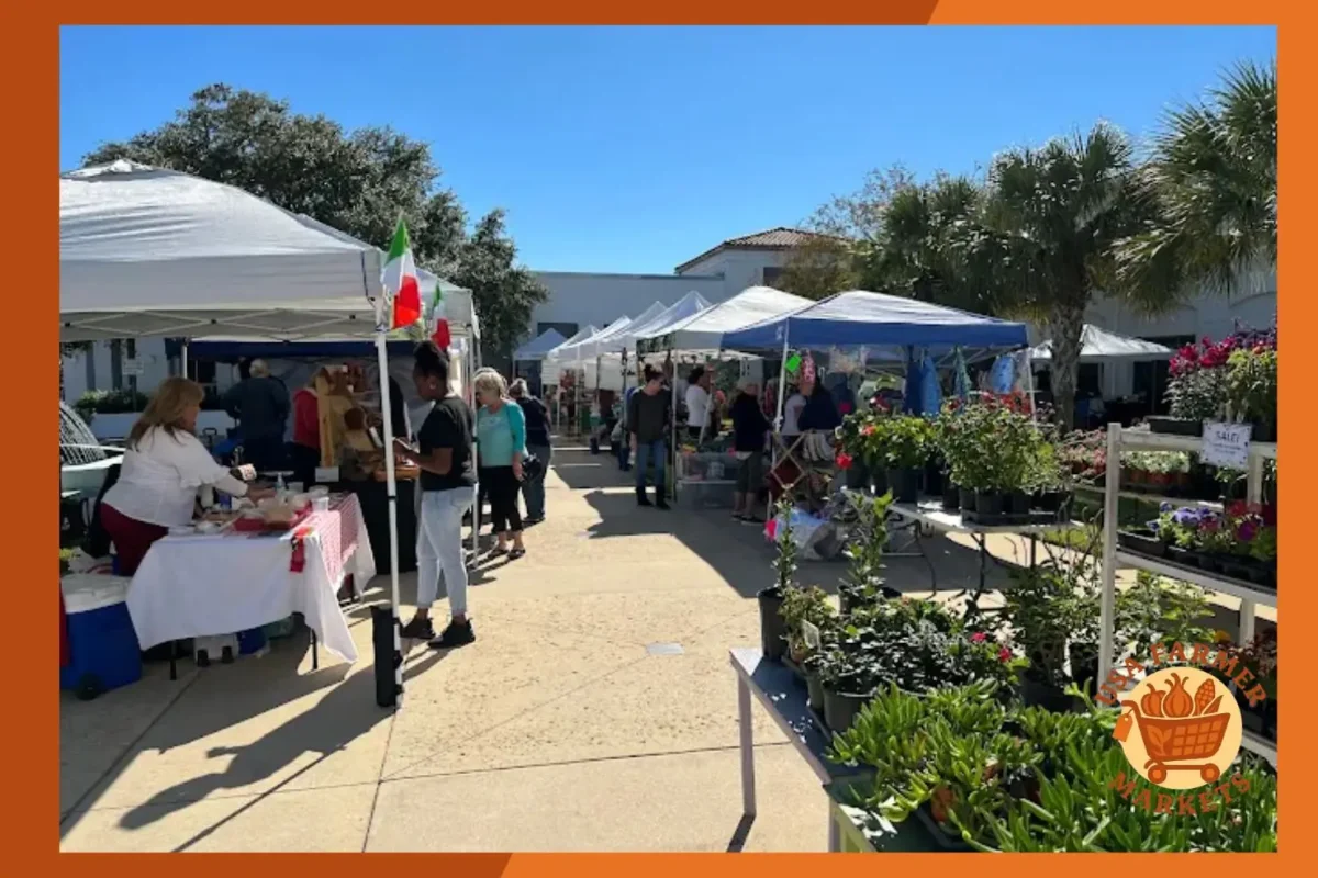 ormond beach farmer's market