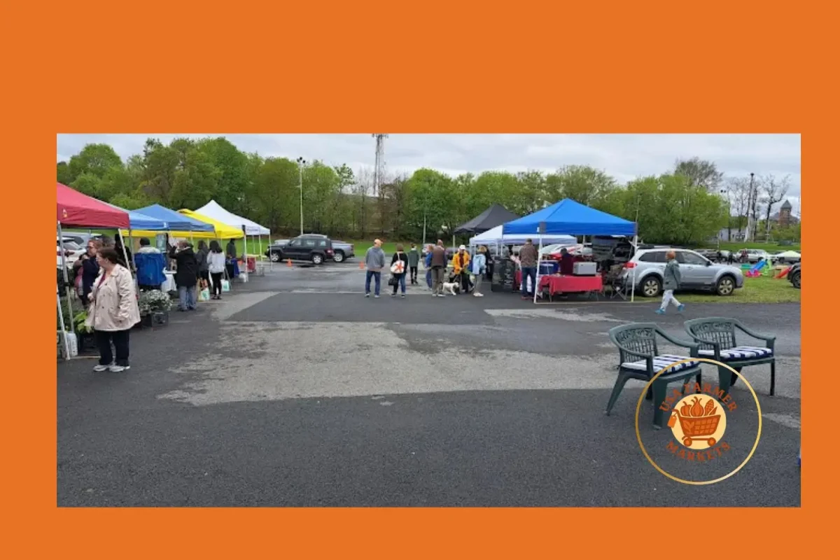 plattsburgh farmers and crafters market plattsburgh farmers and crafters market