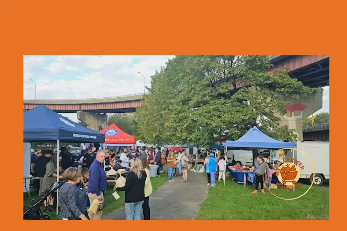 rensselaer farmers market rensselaer farmers market