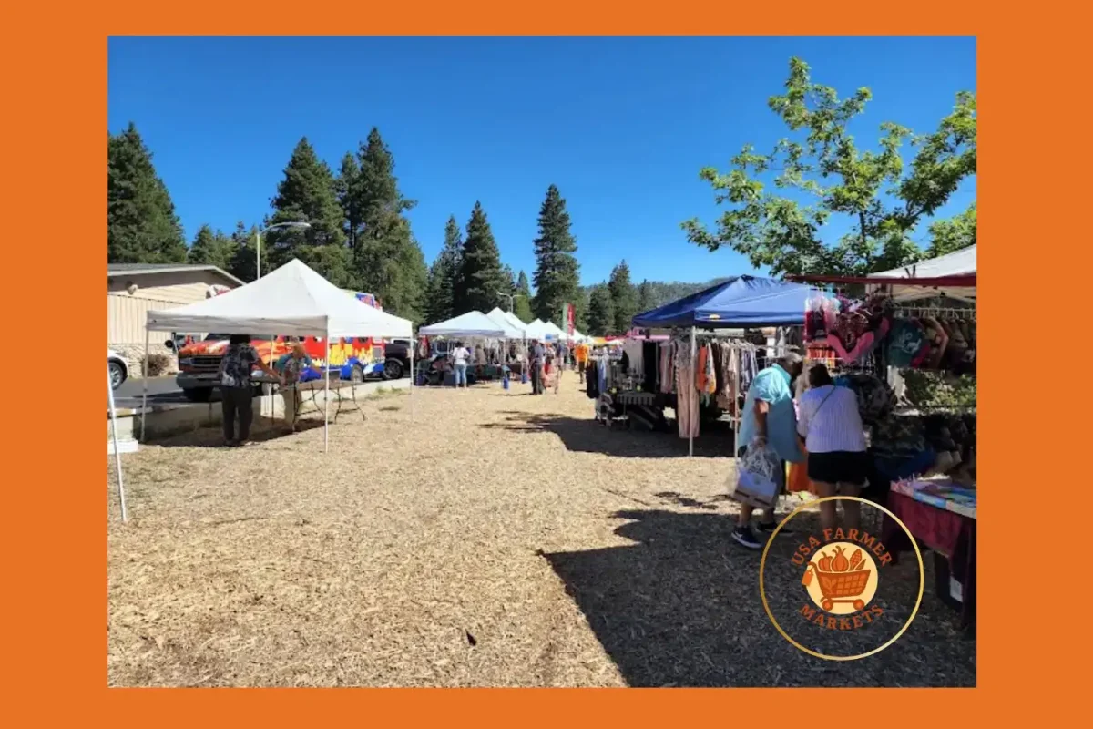 running springs farmers market & artisan faire california