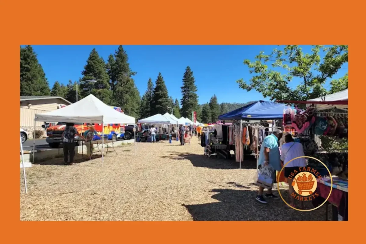 running springs farmers market & artisan faire