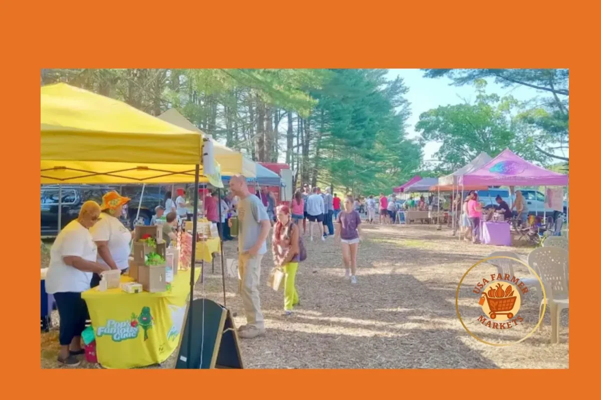 stafford farmers market