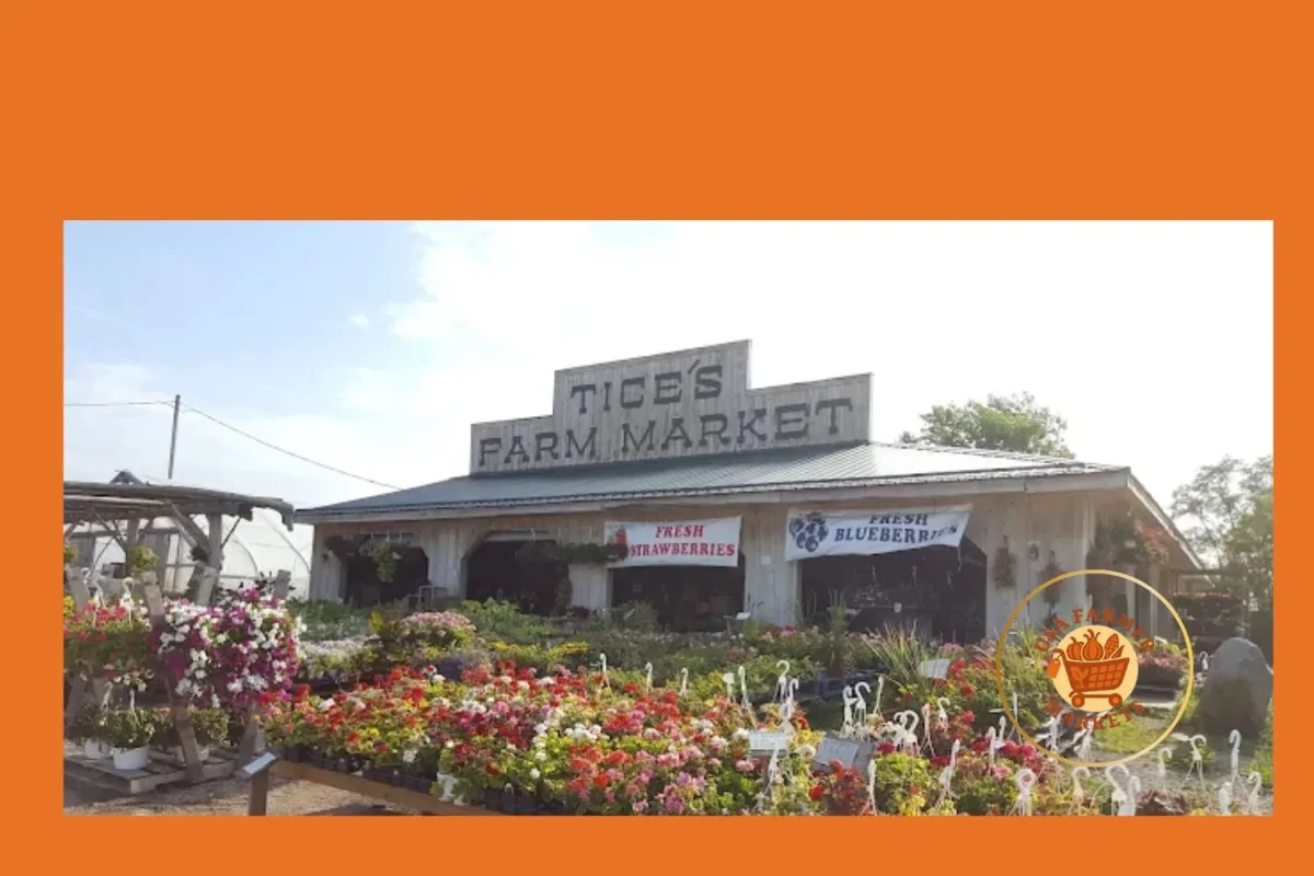 tice’s farm market tice's farm market