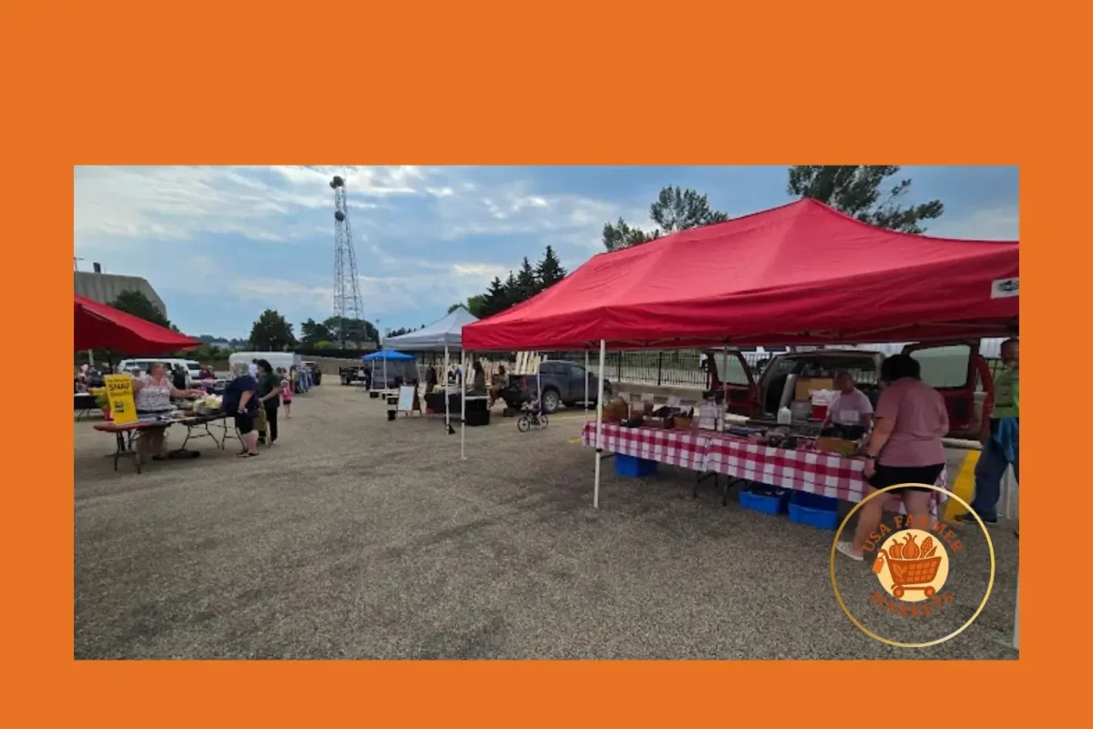 twisted carrot farm, llc